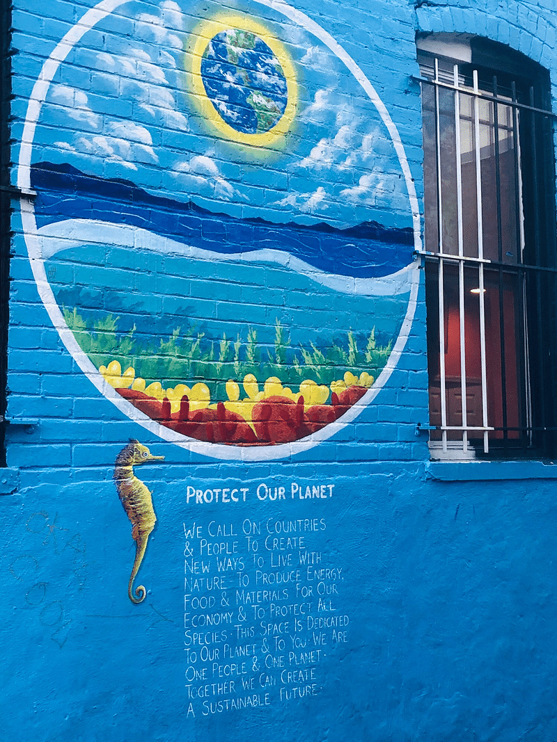 mural in Washington by artist unknown.