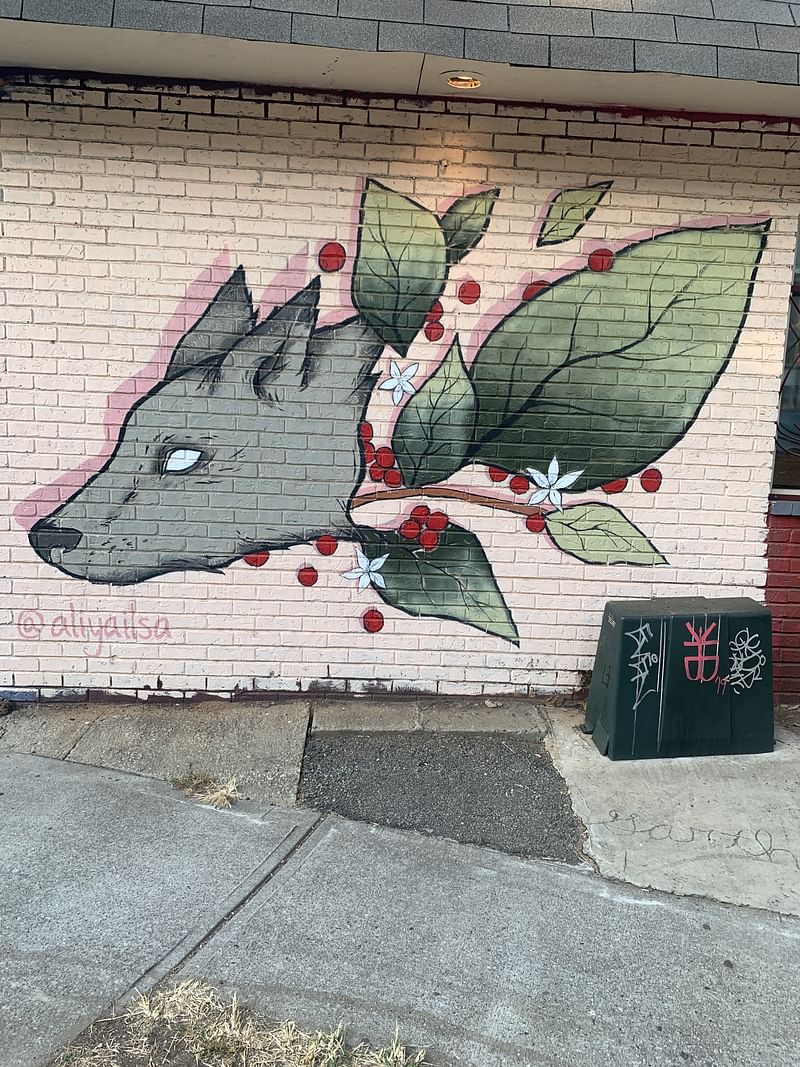 mural in Atlanta by artist Aliya Smith.