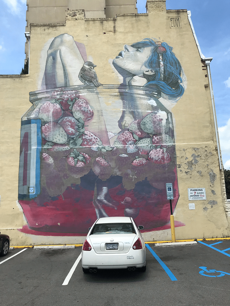 mural in Richmond by artist Etam Cru.
