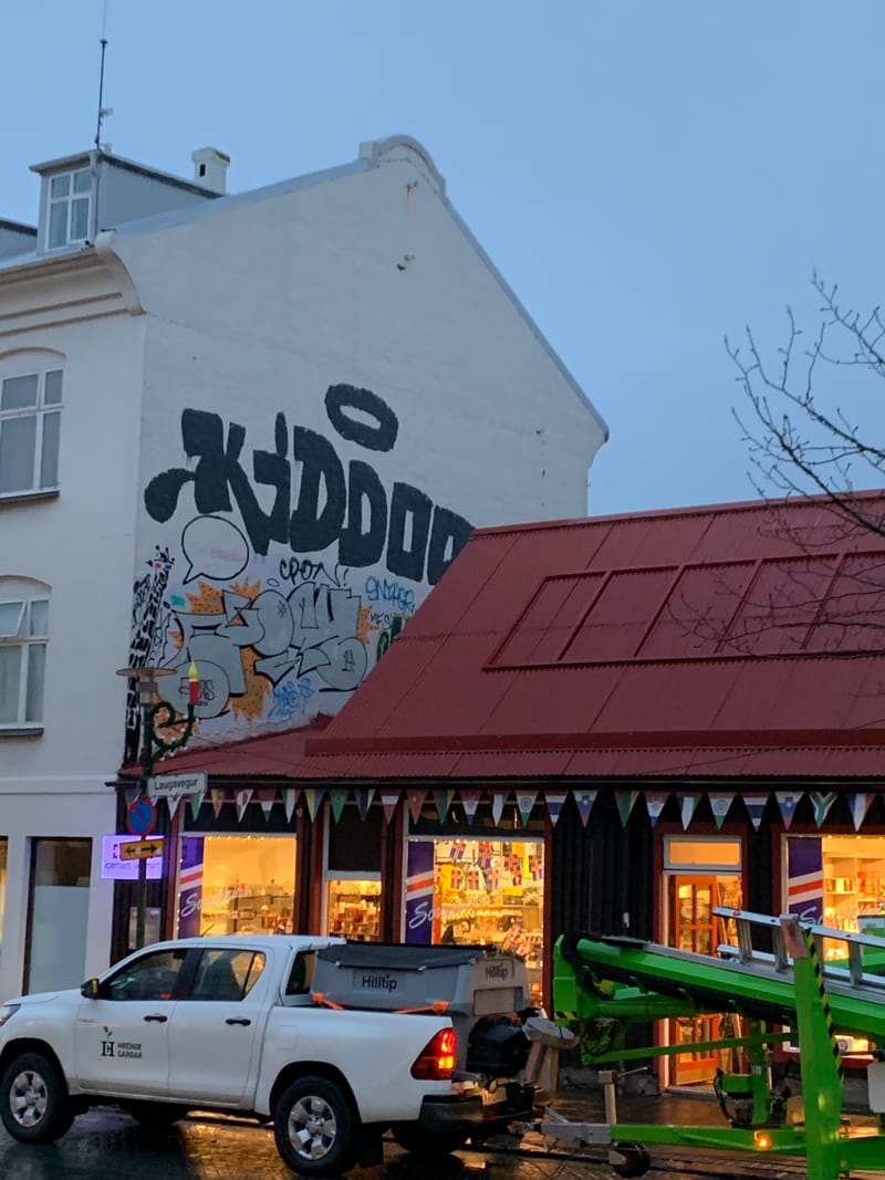 mural in Reykjavík by artist unknown.