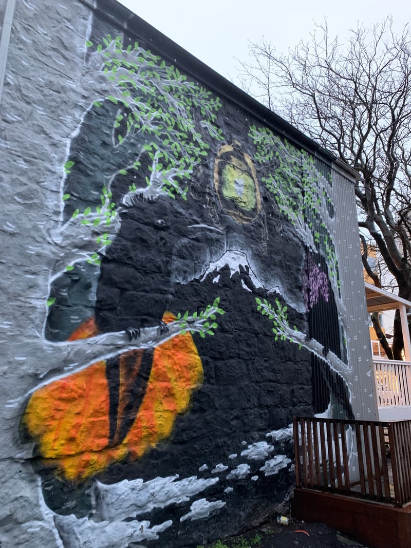 mural in Reykjavík by artist unknown.