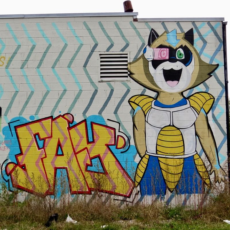 mural in Chicago by artist Ali 6.