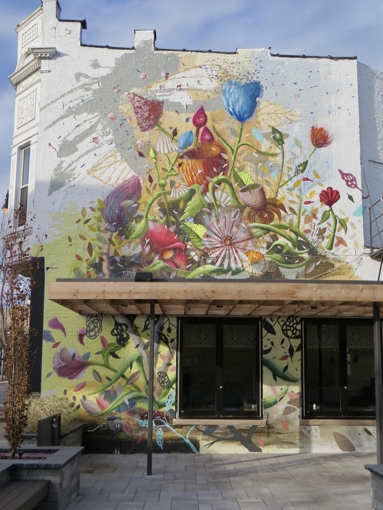 mural in Chicago by artist Collin van der Sluijs.