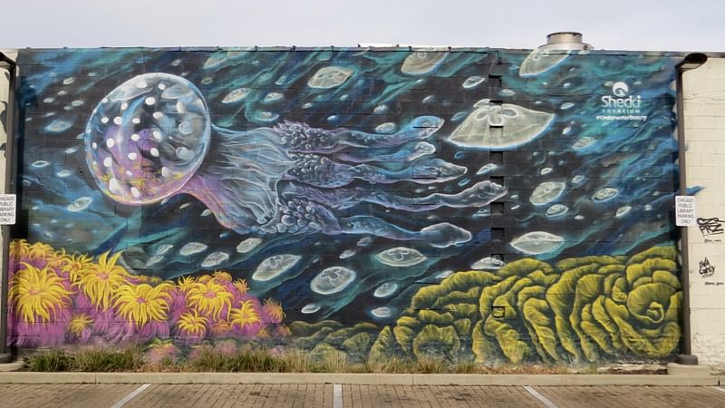 mural in Chicago by artist Czr Prz.
