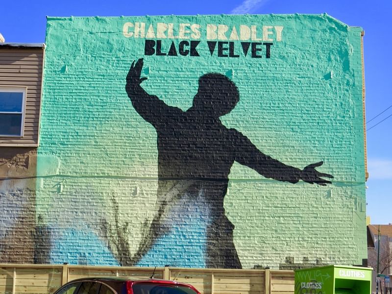 mural in Chicago by artist Joe Miller. Tagged: Charles Bradley, music