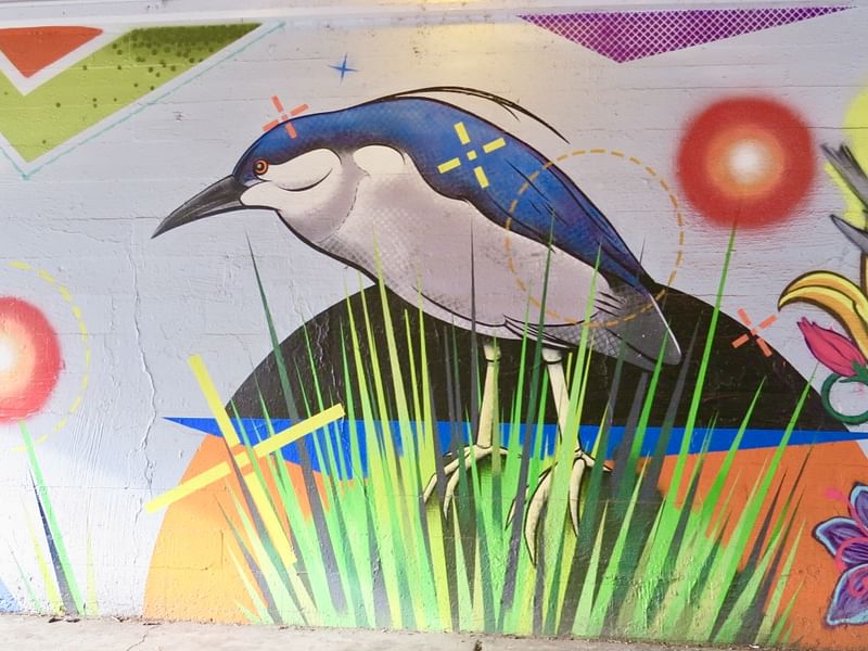 mural in Chicago by artist Chris Silva.