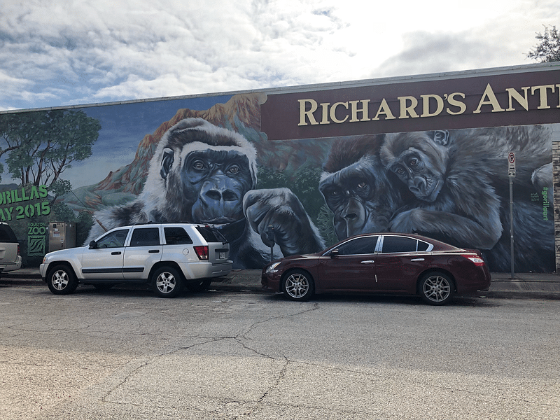 mural in Houston by artist Anat Ronen.