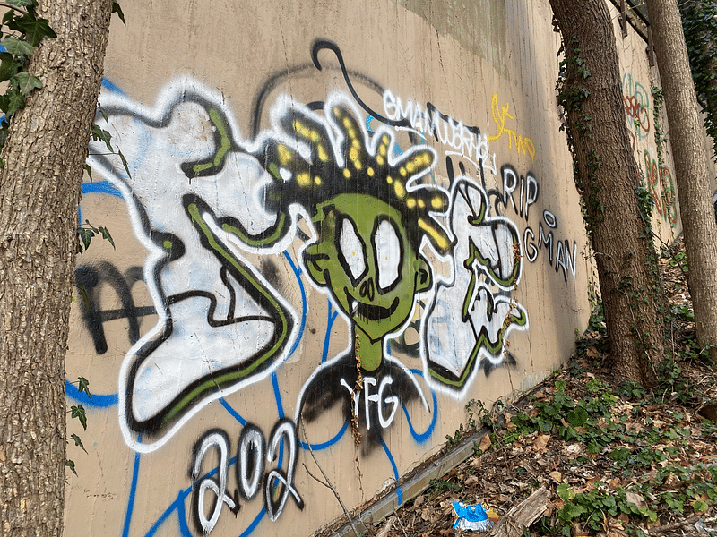 mural in Washington by artist unknown.