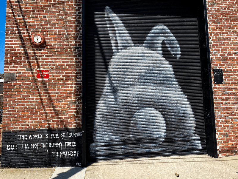 mural in Sacramento by artist Lin Fei Fei.