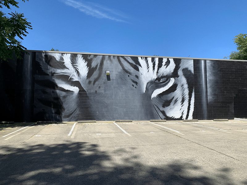 mural in Sacramento by artist Cabron.