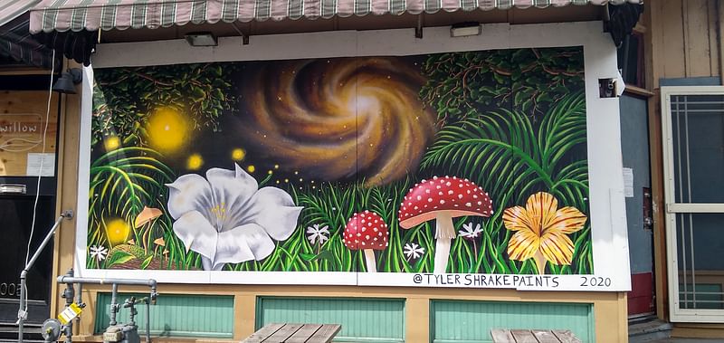 mural in Portland by artist Tyler Shrake.