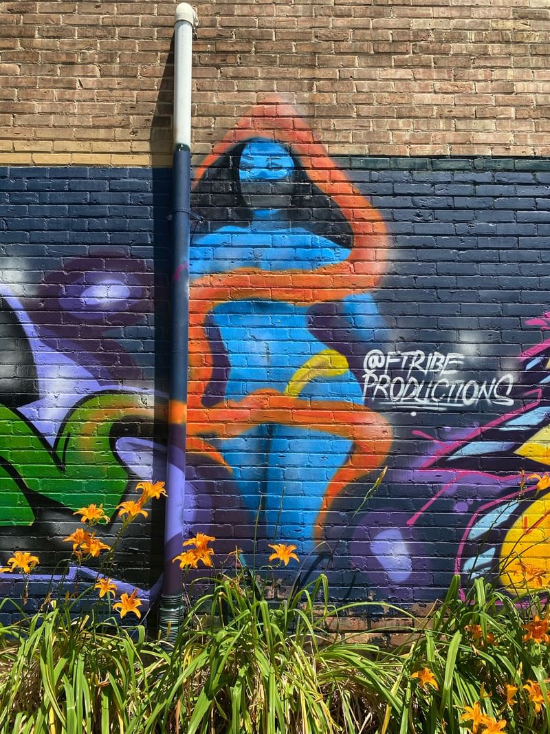 mural in Chicago by artist unknown.