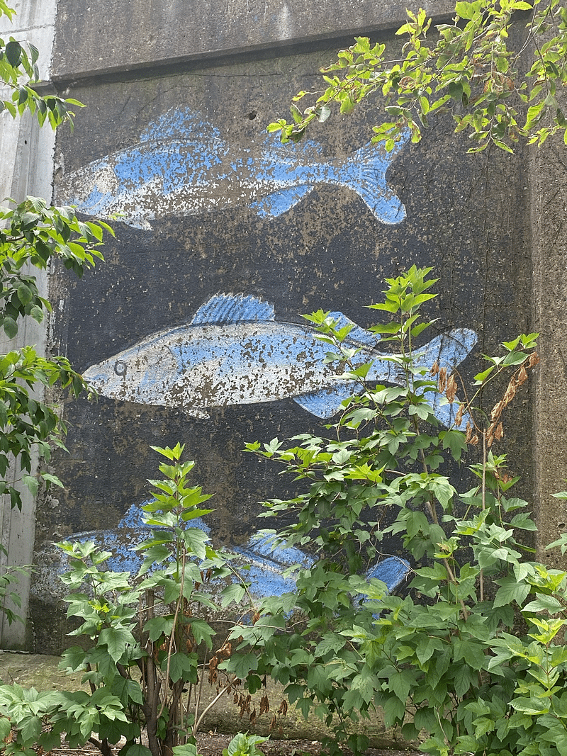 mural in Chicago by artist unknown.