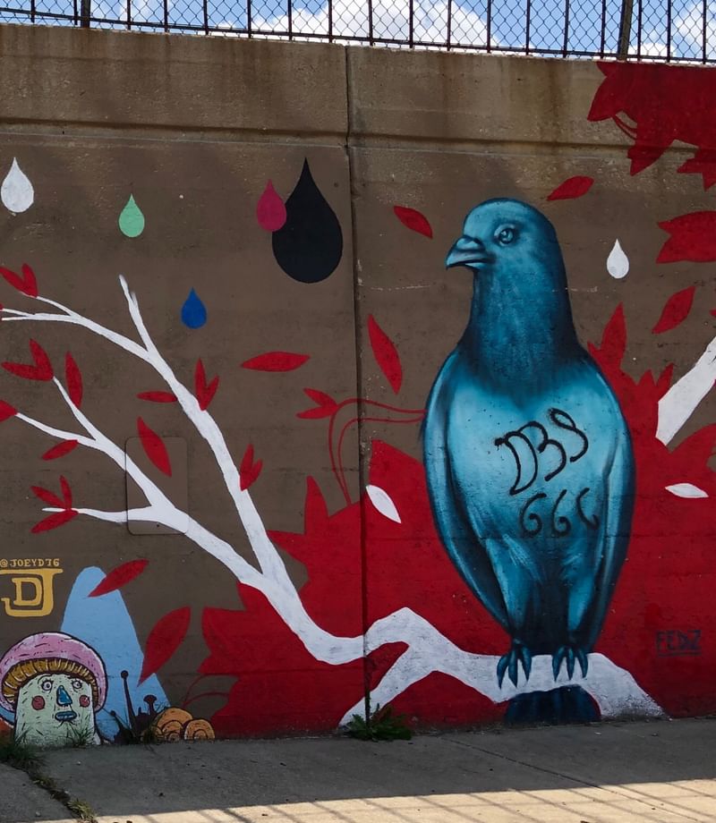 mural in Chicago by artist Fedz.