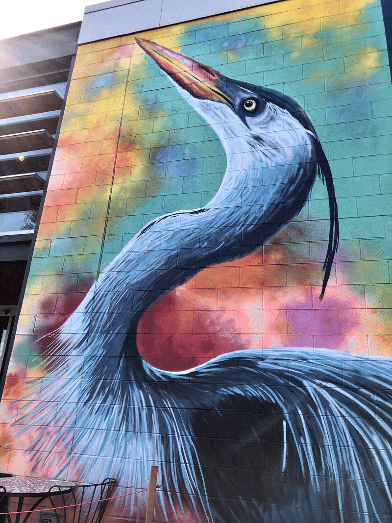 mural in Denver by artist unknown.
