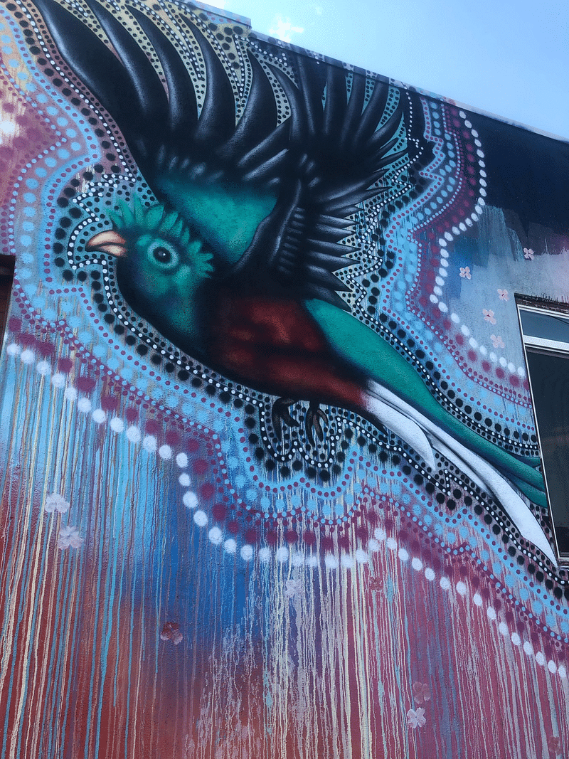 mural in Denver by artist Luis Valle.