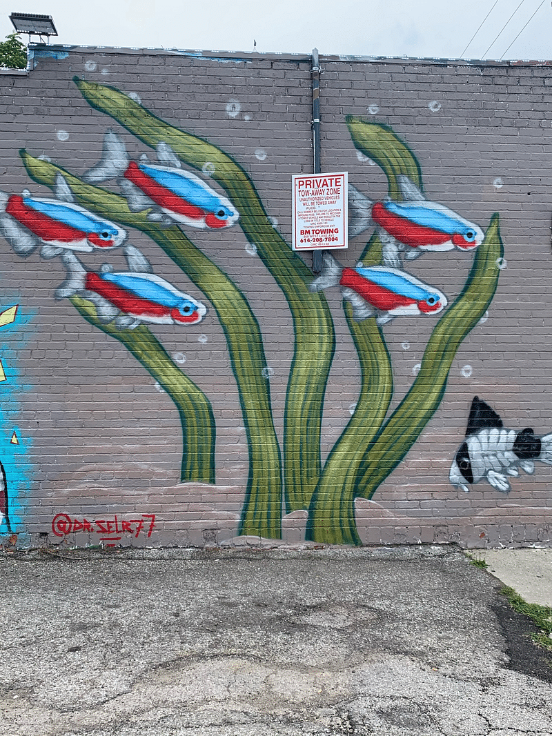 mural in Columbus by artist Dr. Selr77.