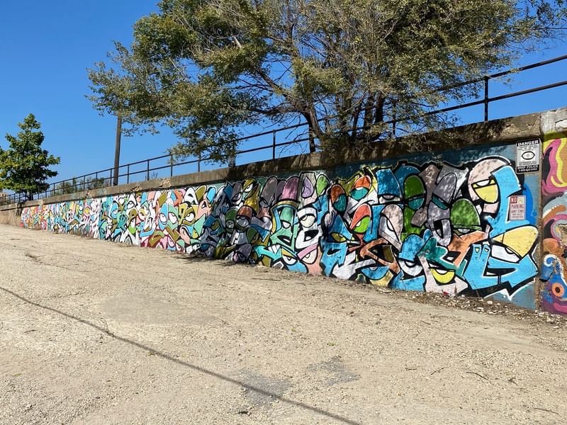 mural in Chicago by artist Yamdini.