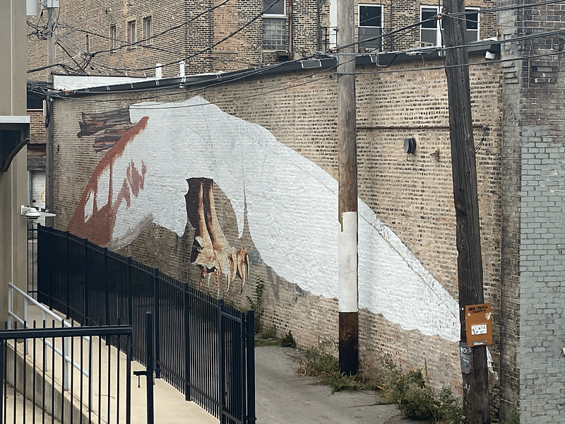 mural in Chicago by artist unknown.