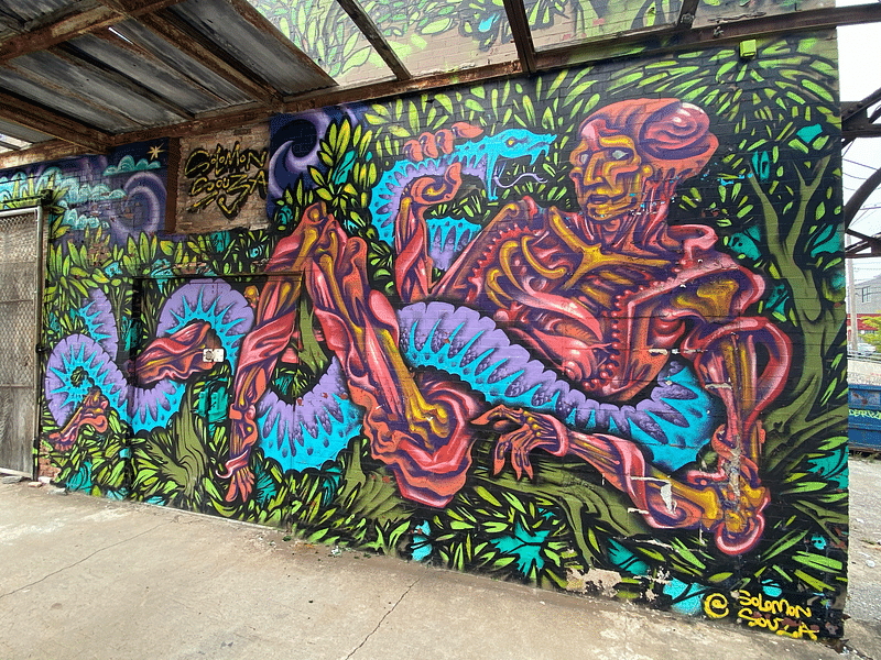 mural in Chicago by artist Solomon Souza.