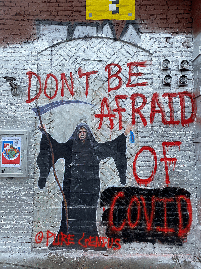 mural in New York by artist Pure Genius.
