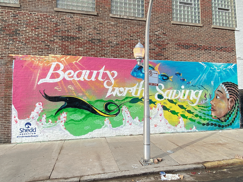 mural in Chicago by artist Lavie Raven.