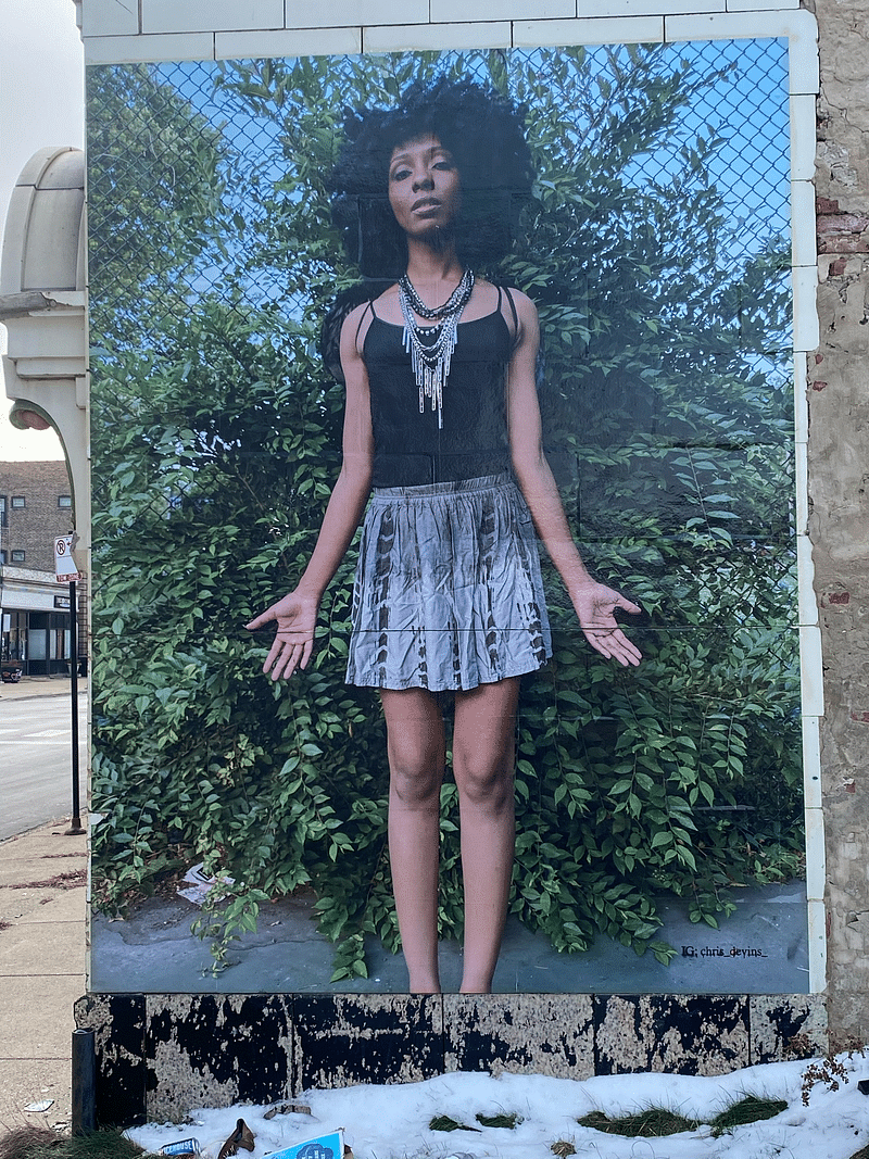 mural in Chicago by artist Chris Devins.