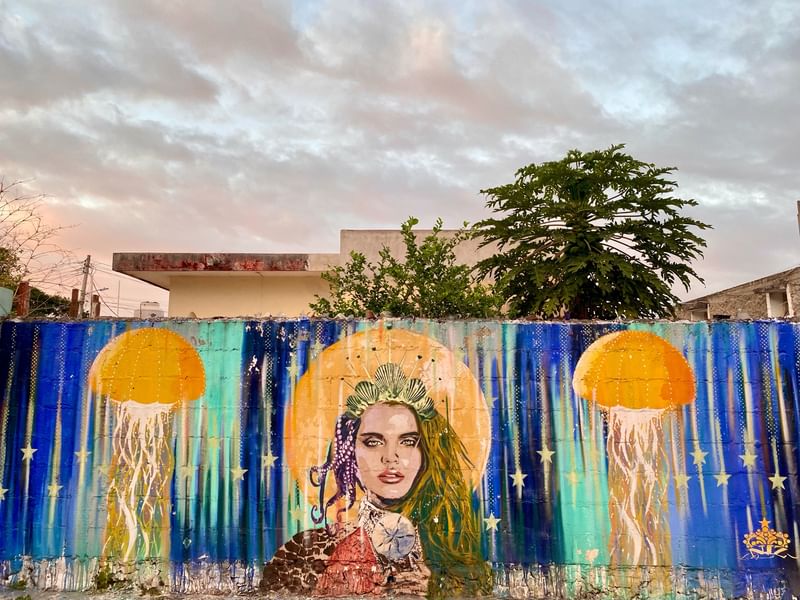 mural in Valladolid by artist Niz.