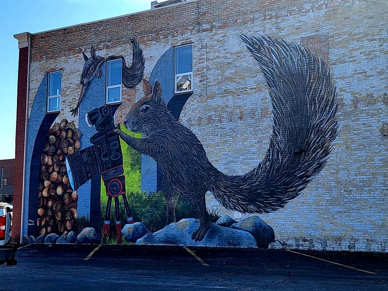 mural in St. Joseph by artist Anat Ronen.