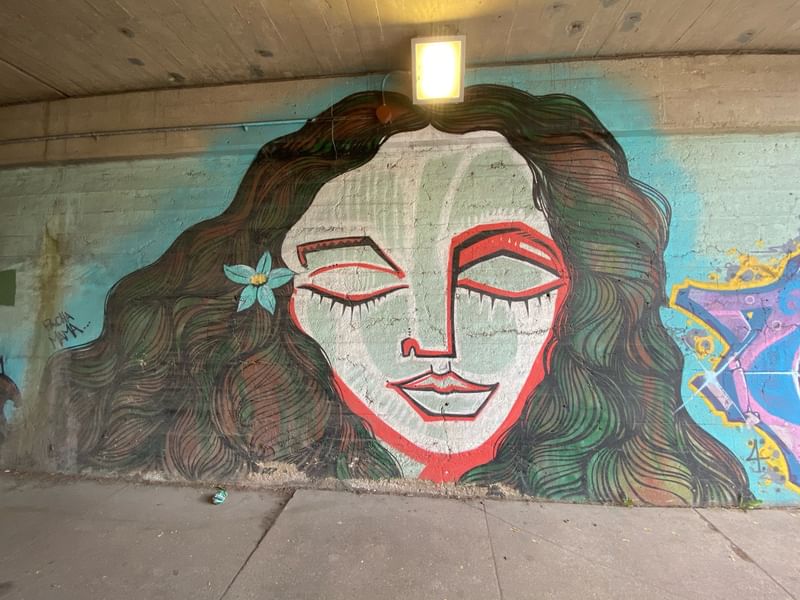 mural in Chicago by artist unknown.