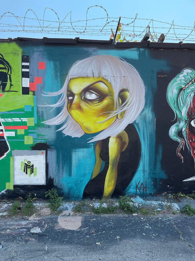 mural in Chicago by artist Megan Kind.
