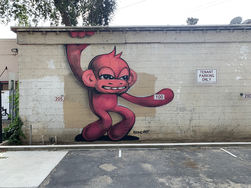 mural in Sacramento by artist KRAVE.