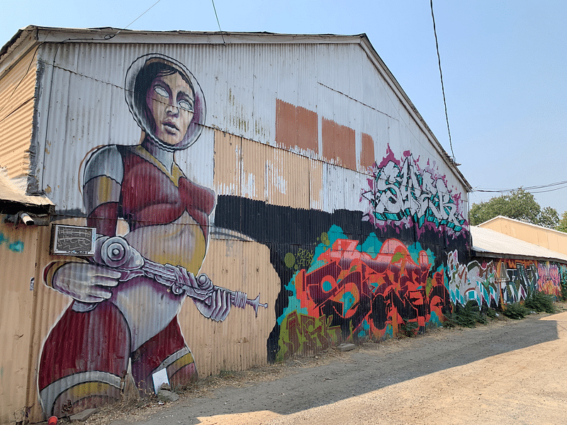 mural in Sacramento by artist unknown.