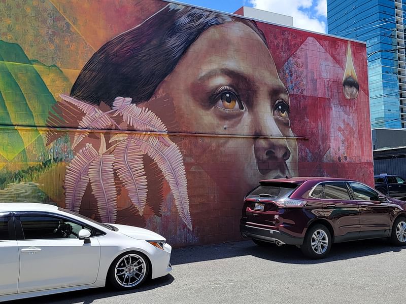 mural in Honolulu by artist unknown.