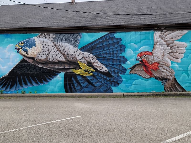 mural in Rockford by artist unknown.