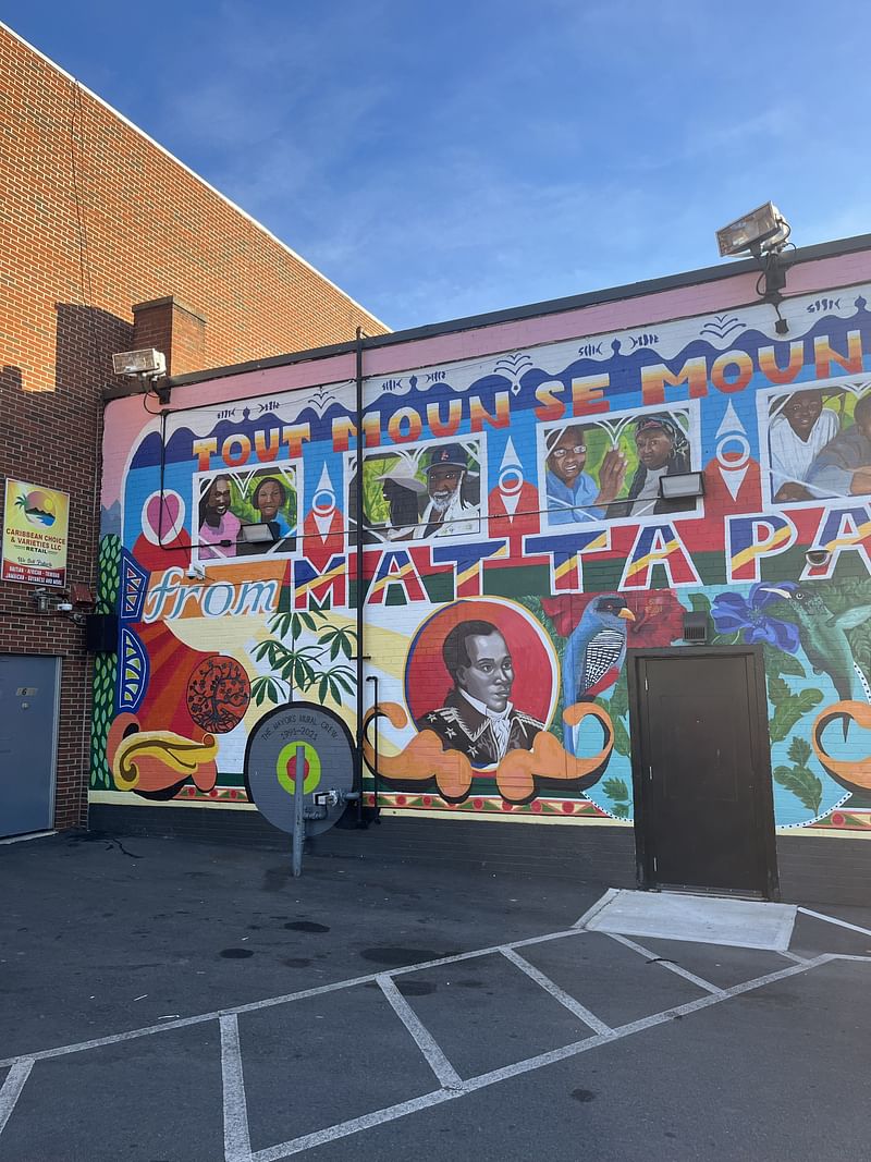 mural in Boston by artist Heidi Schork.