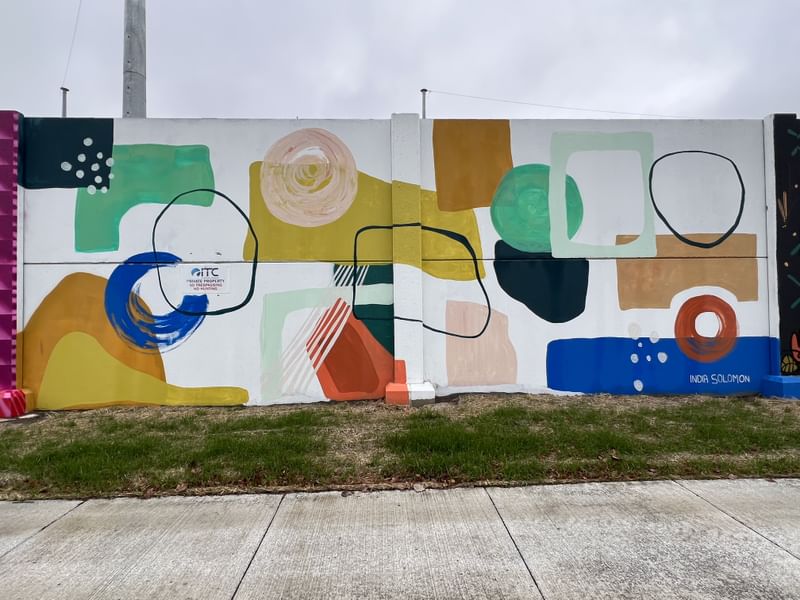 mural in Detroit by artist India Solomon.