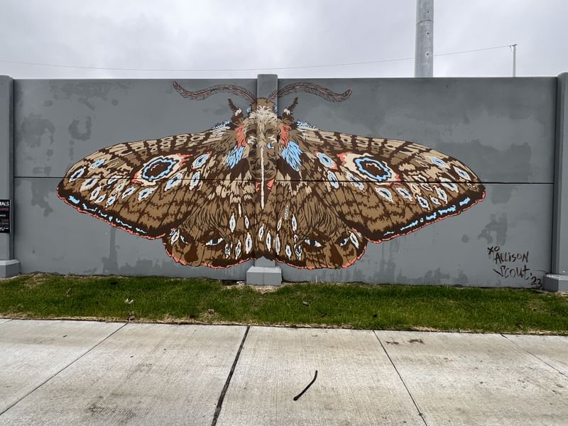 mural in Detroit by artist Allison Marie Scout.