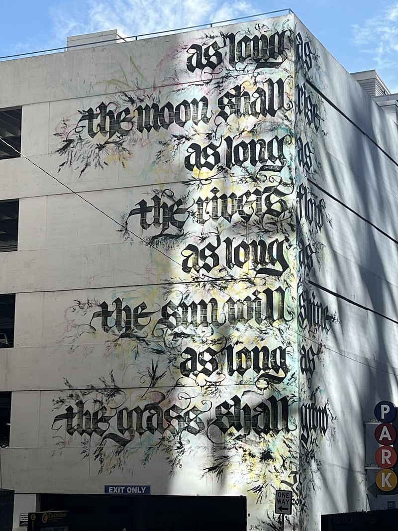 mural in Nashville by artist Niels Shoe Meulman.