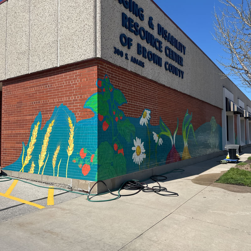 mural in Green Bay by artist unknown.