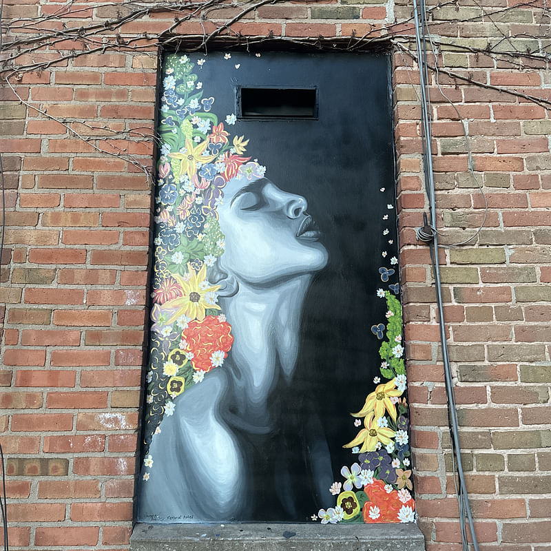 mural in Oshkosh by artist unknown.