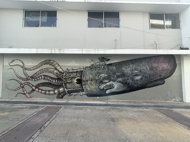 mural in Bayamón by artist Alexis Diaz.