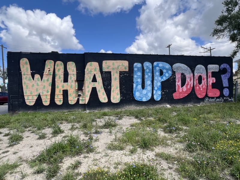 mural in Detroit by artist Sheefy McFly.