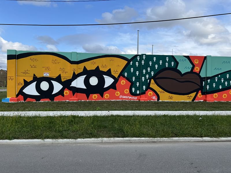 mural in Detroit by artist Sheefy McFly.