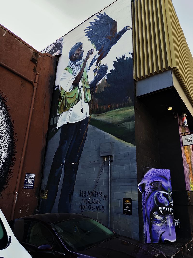 mural in Sacramento by artist Mel Waters.