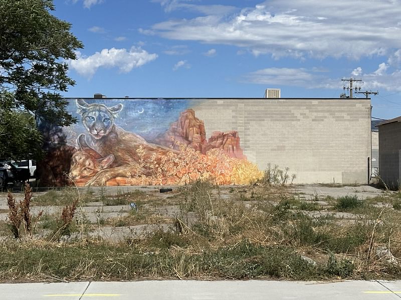 mural in South Salt Lake by artist Emily Ding.