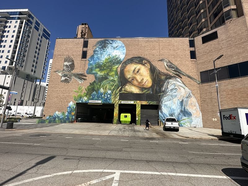 mural in Houston by artist Emily Ding.