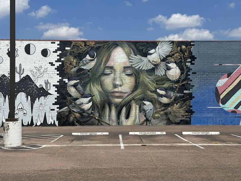 mural in Houston by artist Emily Ding.
