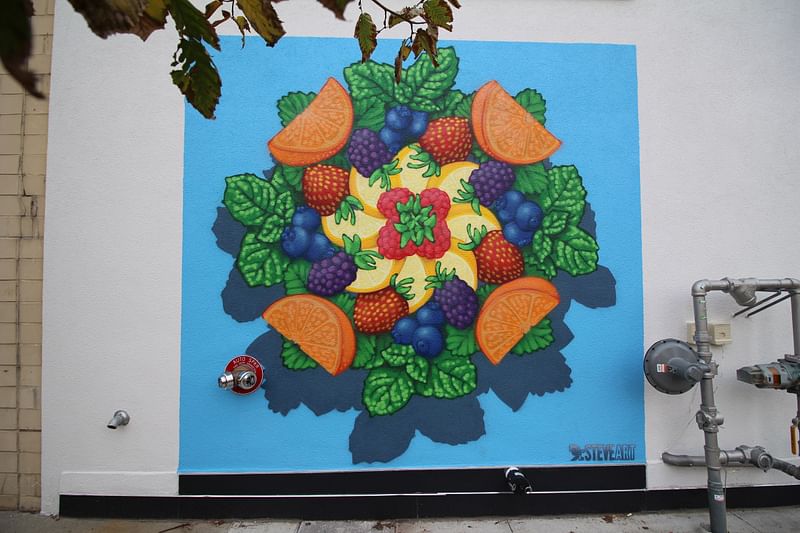 mural in Columbus by artist Doctor Steve Art.