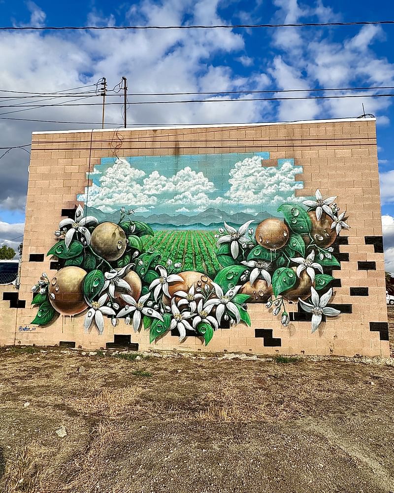 mural in Redlands by artist Whin 3.